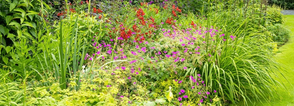 Yes, een groene tuin! Maar hoe kies je het juiste borderpakket?