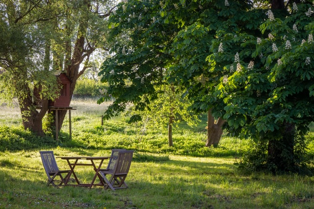 groene tuin met houten tuinstoelen